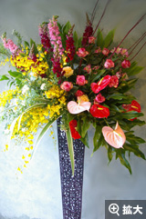 �X�^���h�t�����[